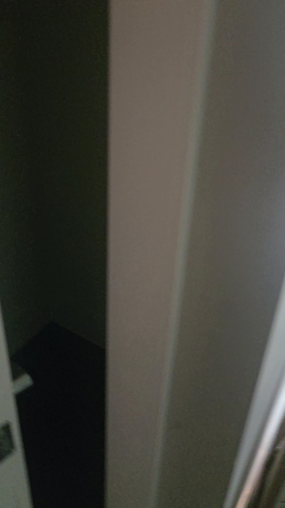 After shot of a fully cleared closet following junk removal
